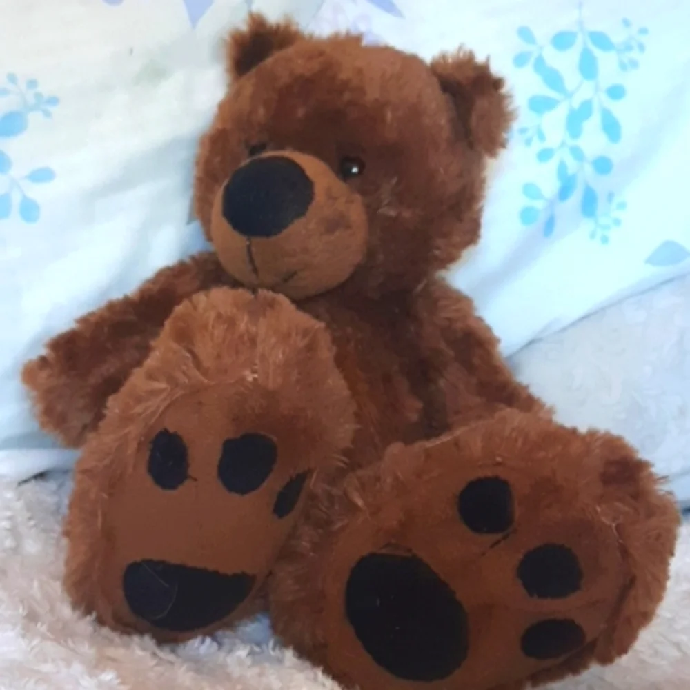 Big Foot Teddy Bear Brown Stuffed Animal plush kids toy Small bear BIG FEET